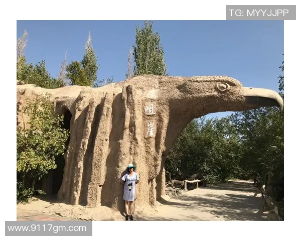 滑板梦想与现实交织北京滑板队逆袭之路的真实记录